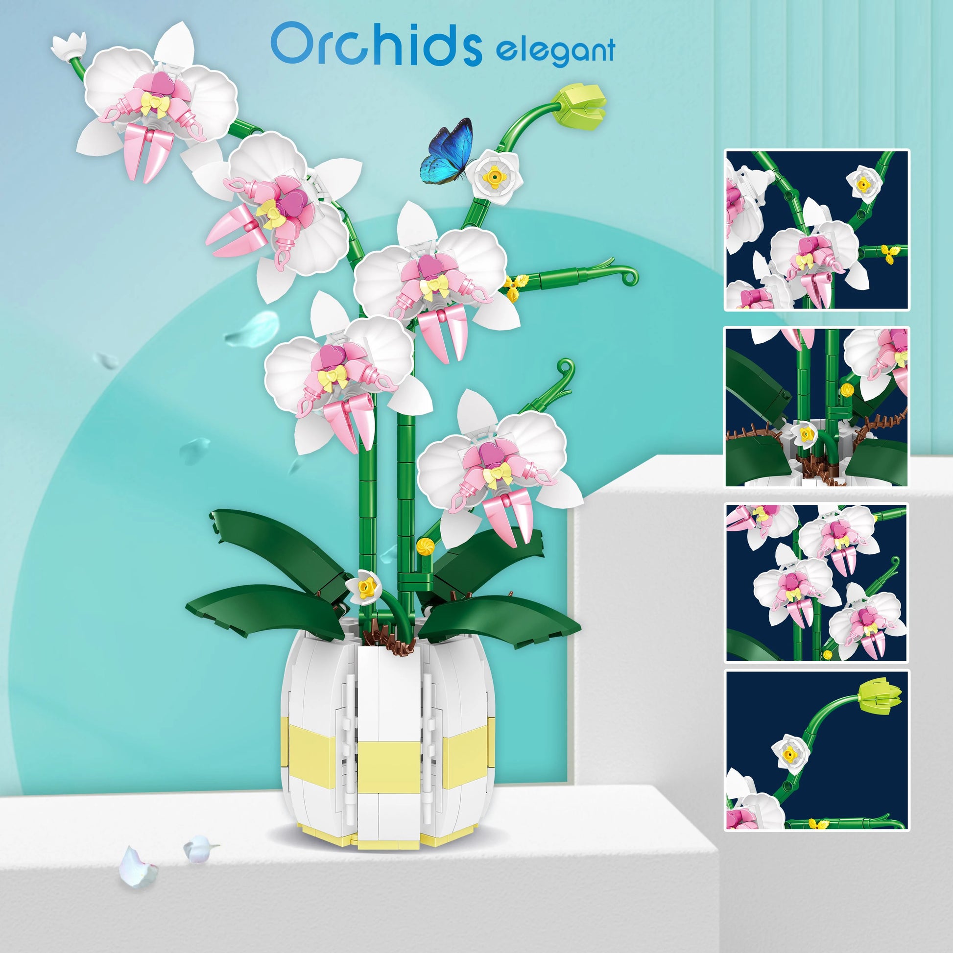 Orchid Flowers