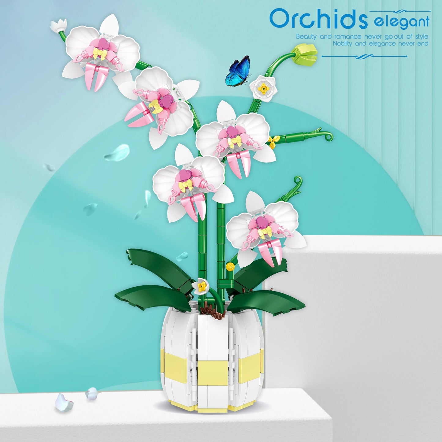 Orchid Flowers